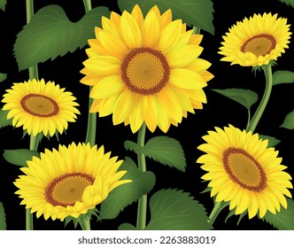 Sunflower garden pattern. Daisies flowers. Floral bouquet for summer wedding card. Spring nature leaf and blossom. Blooming helianthus. Botanical print. Vector neoteric seamless background