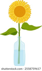 sunflower in a glass vase vector. sunflower icon for print, sticker, etc.