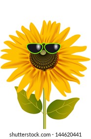 sunflower in glasses