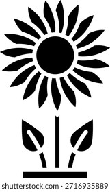 Ilustración vectorial de icono de glifo de girasol