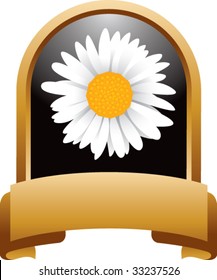 sunflower in gold display