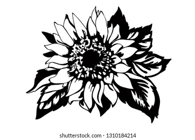 Sunflower graphic image