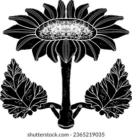 Sunflower. Graphics, linocut, texture. Vector element.