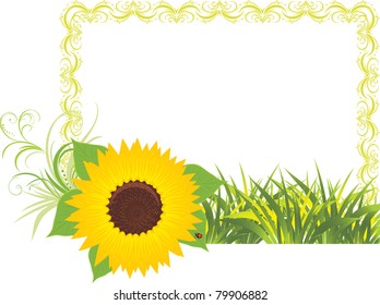 Sunflower with grass in the decorative frame. Vector