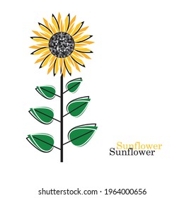 Sunflower with green leaves in flat style isolated on white background. Vector Illustration