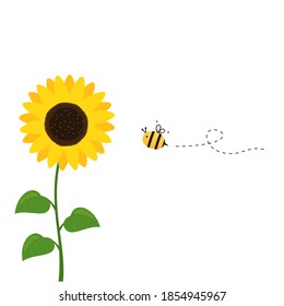 Sunflower with green leaves and flying bee cartoon isolated on white background vector illustration.