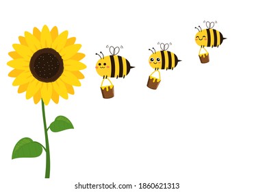 Sunflower with green leaves and flying bee cartoon isolated on white background vector illustration