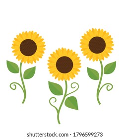 Sunflower with green leaves icon isolated on white background vector.