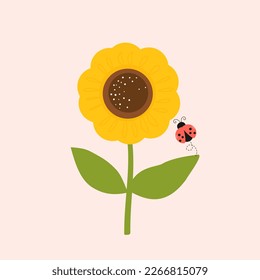 Sunflower, green leaves and ladybug cartoon vector illustration.