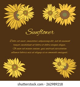 Sunflower greeting card. Yellow and green flower on the dark background