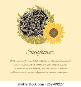 Sunflower greeting card. Yellow and green flower on the bright background