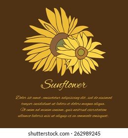 Sunflower greeting card. Yellow and green flower on the dark background