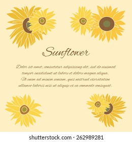 Sunflower greeting card. Yellow and green flower on the bright background