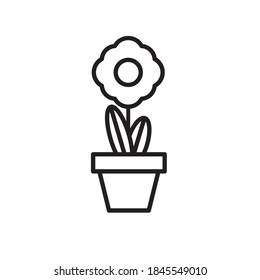 sunflower growth plant in ceramic pot line style icon vector illustration design