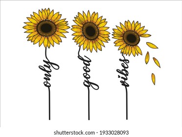 sunflower hand drawn design vector art