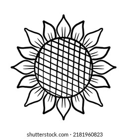 Sunflower in hand drawn doodle style. Floral sketch isolated on white background.