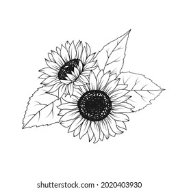 Sunflower Hand Drawn Floral Bouquet Stock Vector (Royalty Free ...