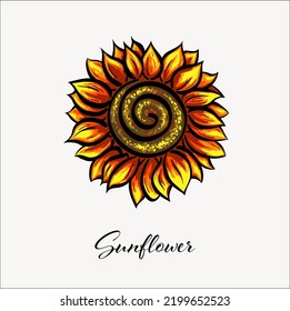 Sonnenblume, handgezeichnet einzeln auf weißem Hintergrund