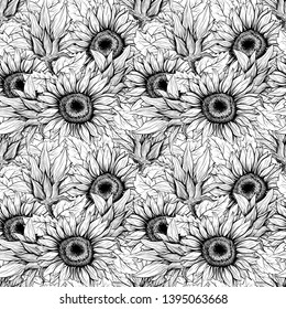Sunflower hand drawn seamless vector pattern. Blooming flower ink pen black texture. Outline sketch illustration. Helianthus vintage freehand drawing. Floral, botanical wrapping paper, textile design