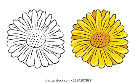 Flores vectoriales de estilo de mano de girasol con ilustración de línea