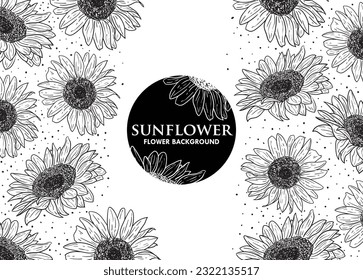 Sunflower hand drawn vector background. Flower ink pen sketch. Black and white clipart. Textured realistic wildflower freehand drawing. Isolated monochrome floral design element.