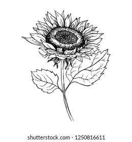 1,043 Sunflower Stencils Images, Stock Photos & Vectors | Shutterstock