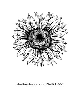 Free Free 147 Clipart Sunflower Afro Baby SVG PNG EPS DXF File