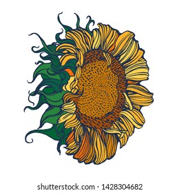 sunflower ,hand-drawing,vector, color, isolated on white background