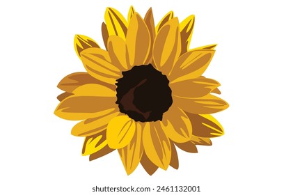 Sunflower head isolated on a empty white background