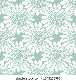 Sunflower Heads Outline Repeating Pattern. Vintage Vector Pattern