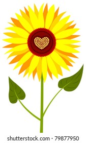 Sunflower with heart isolated on white. Vector illustration.