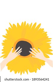 Sunflower held by female hands. Bright beautiful yellow flower. Vector illustration isolated on white.