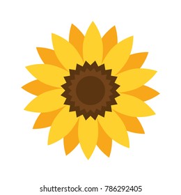 Sunflower ( helianthus) plant icon isolated on white background. Vector illustration.