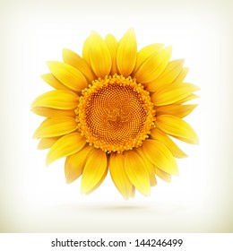Sunflower, high quality vector illustration svg