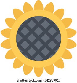 sunflower icon