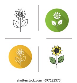 Sunflower icon. Flat design, linear and color styles. Helianthus. Isolated vector illustrations