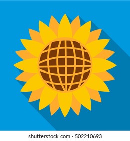 Sunflower icon. Flat illustration of sunflower vector icon for web