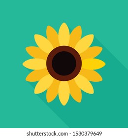 sunflower icon in flat style with long shadow, isolated vector illustration on green transparent background