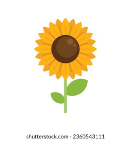 Icono de girasol vector plano. Granja ecológica. Agricultura alimentaria aislada