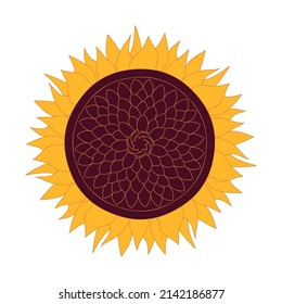 Icono de girasol - ilustración vectorial dibujada a mano aislada en blanco. Diseño de color plano.