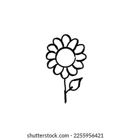 Sunflower icon handwriting isolated on white