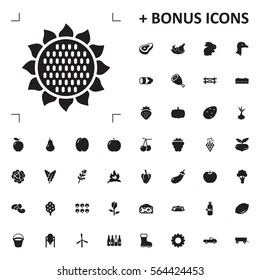 sunflower icon illustration isolated vector sign symbol