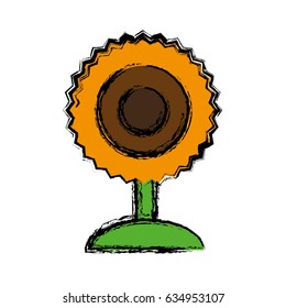 sunflower icon image