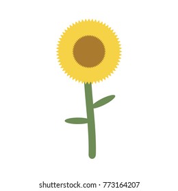 sunflower icon image