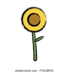 sunflower icon image