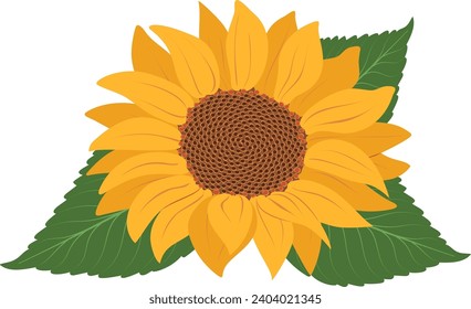 Sonnenblumensymbol einzeln auf transparentem Hintergrund, Vektorgrafik. Klare, handgezeichnete Blume. Vektorgrafik