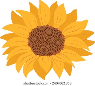 Sunflower icon isolated on Transparent background vector illustration. Cute hand drawn flower. Vector illustration