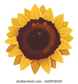 Sunflower icon isolated on white background. Vector illustration