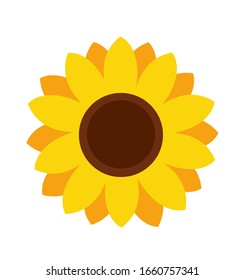 Sunflower icon isolated on white background
