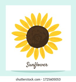 Sunflower icon isolated on white background vector illustration. Cute hand drawn flower.